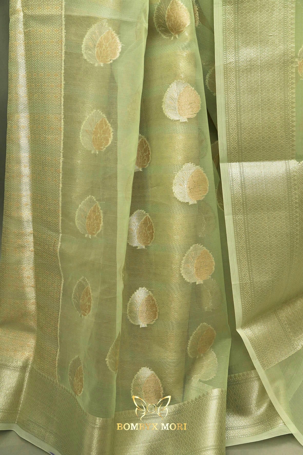 Pistachio Green Organza Saree