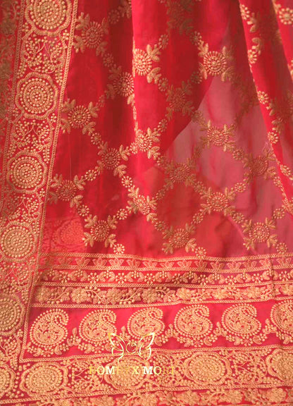 Priyamvada Shaan e Lucknow saree