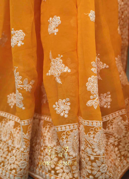 Ada Shaan e Lucknow Saree