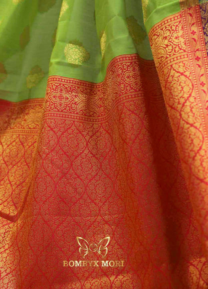 Naintara Kashi Banarasi saree