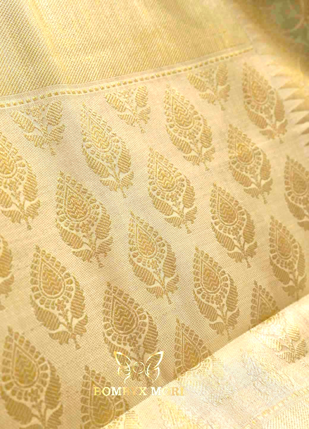 Vasudha Kashi Banarasi Saree