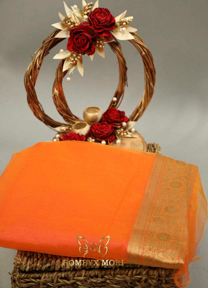 Orange Organza Saree