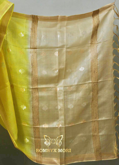 Lemon Yellow and Beige Bhagalpuri Silk Saree