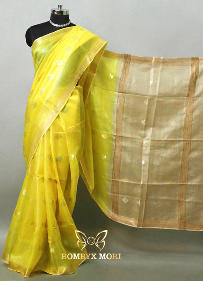 Lemon Yellow and Beige Bhagalpuri Silk Saree