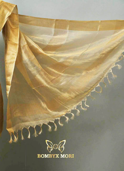 Golden Tissue Saree.