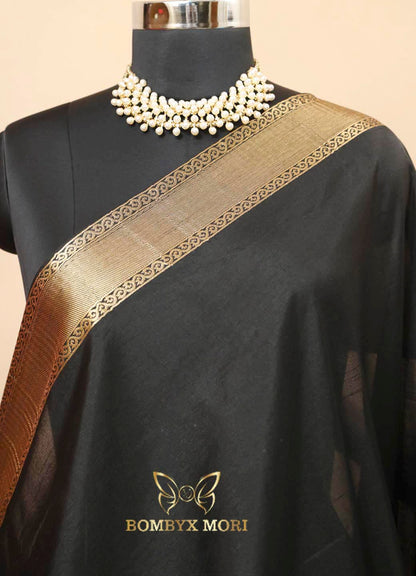 Blazing Black Pashmina Kashida Saree