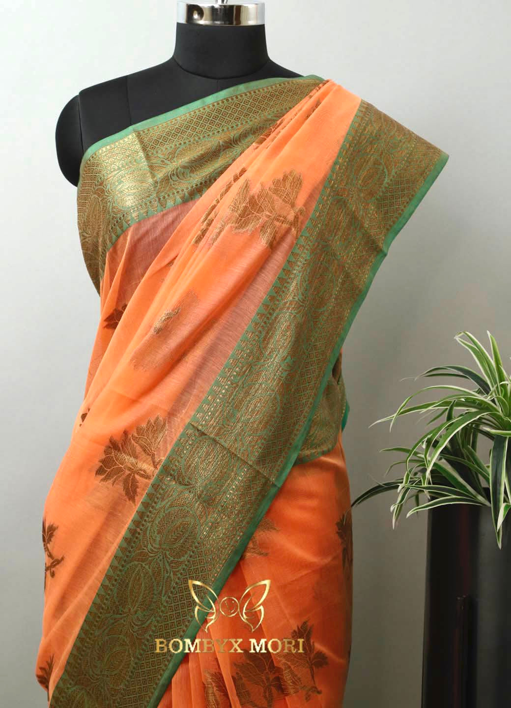 Amaira Kashi Banarasi Saree