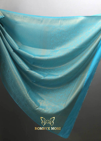 Baby blue Kanjeevaram brocade silk saree