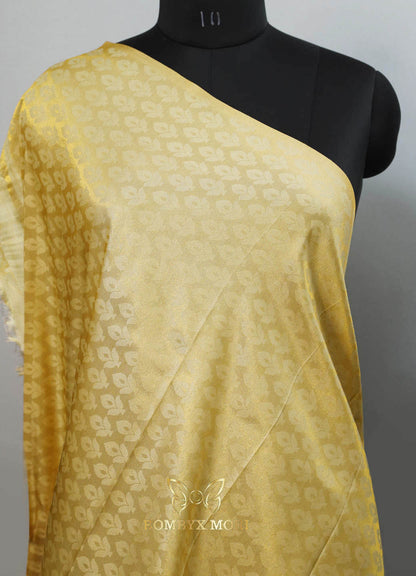 Golden Kanjeevaram brocade silk saree